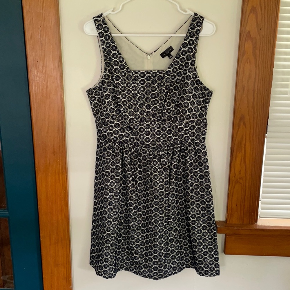 The Limited Fit and Flare Dress
